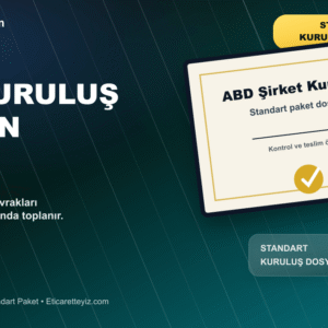 Amerika Şirket Kurulumu Standart Paket belge ve sertifika odaklı close-up görseli