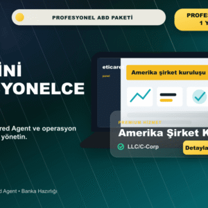 Amerika Şirket Kuruluşu Profesyonel paket hero kapak görseli