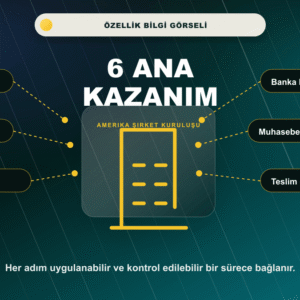 Amerika Şirket Kuruluşu Profesyonel 6 ana kazanım bilgi görseli