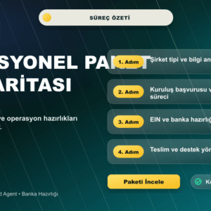 Amerika Şirket Kuruluşu Profesyonel süreç ve içerik özeti görseli